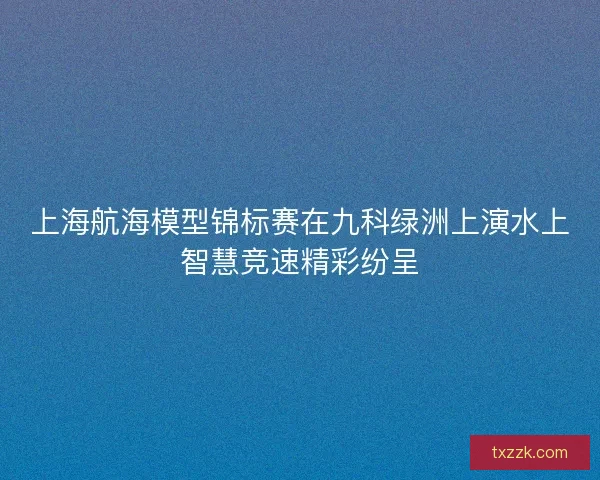 上海航海模型锦标赛在九科绿洲上演水上智慧竞速精彩纷呈