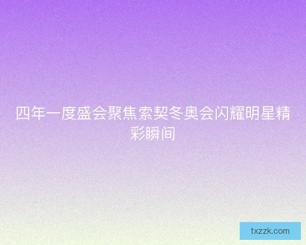 四年一度盛会聚焦索契冬奥会闪耀明星精彩瞬间