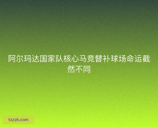 阿尔玛达国家队核心马竞替补球场命运截然不同