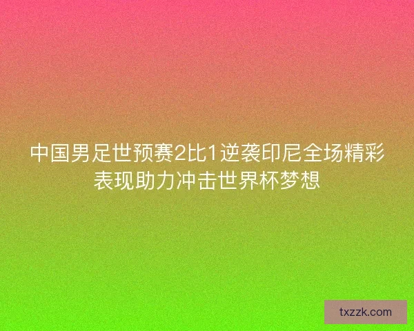 中国男足世预赛2比1逆袭印尼全场精彩表现助力冲击世界杯梦想 中国男足世预赛2比1逆袭印尼全场精彩表现助力冲击世界杯梦想